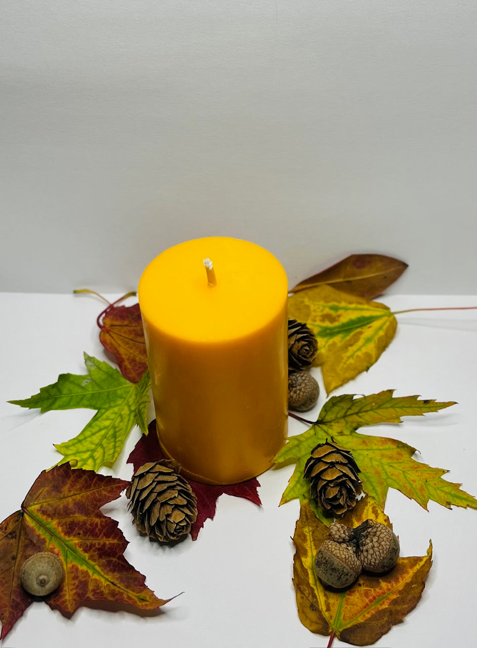 Harvest Time Scented Orange 4.5OZ Soy Candle CD-0025-HVT